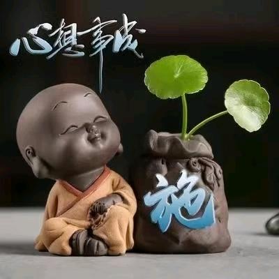 小施