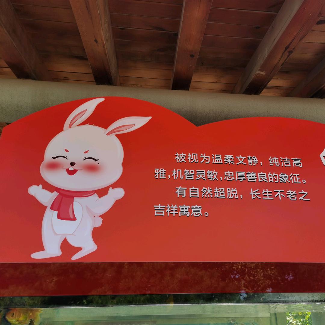 小熊宝宝