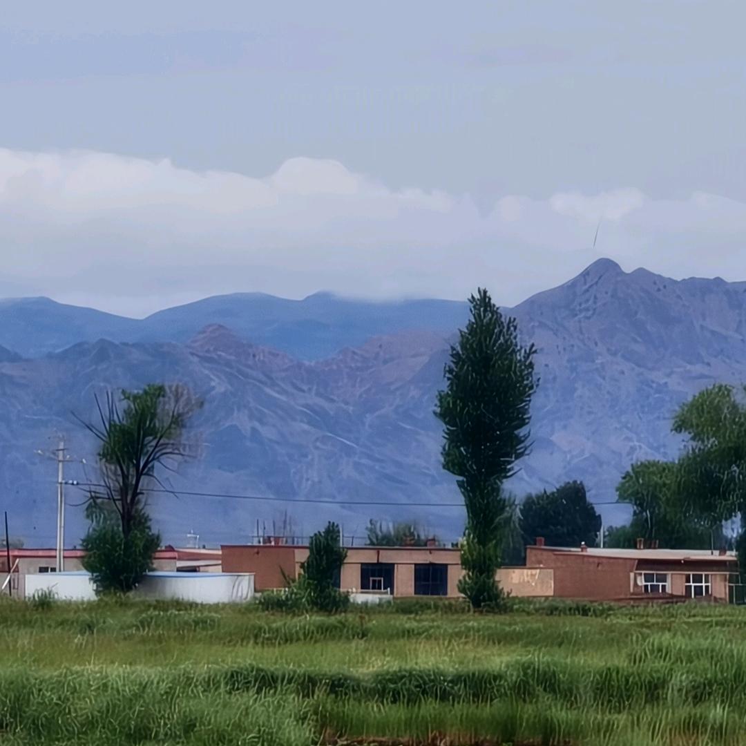 奔跑的村官~小王