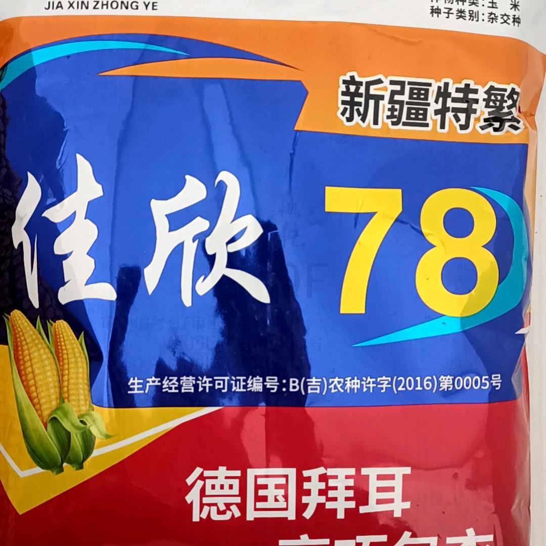 梨树鑫祥和农业 姜颖🤞🤞