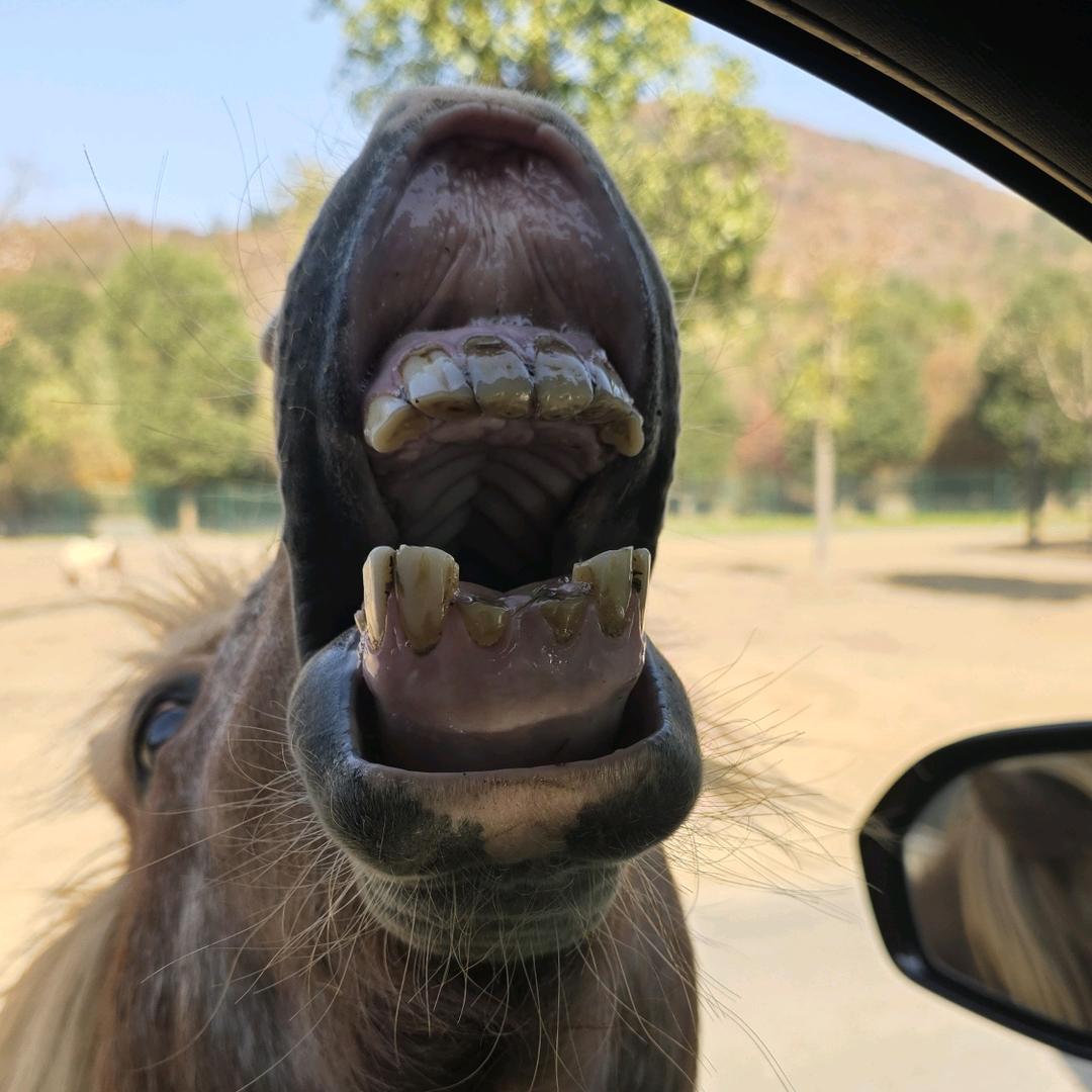 中国电击治疗研究院安徽分中心