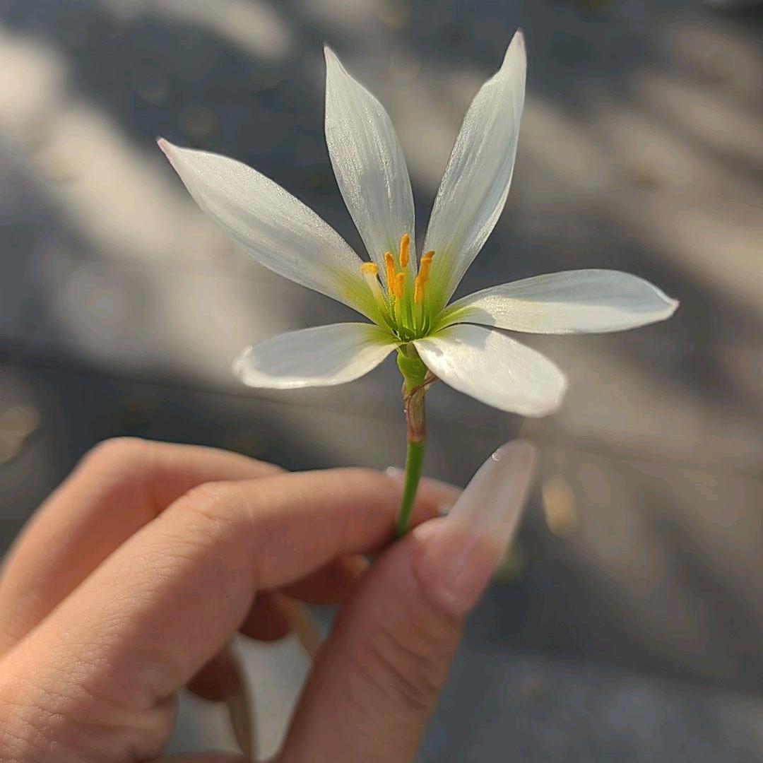 不念过往