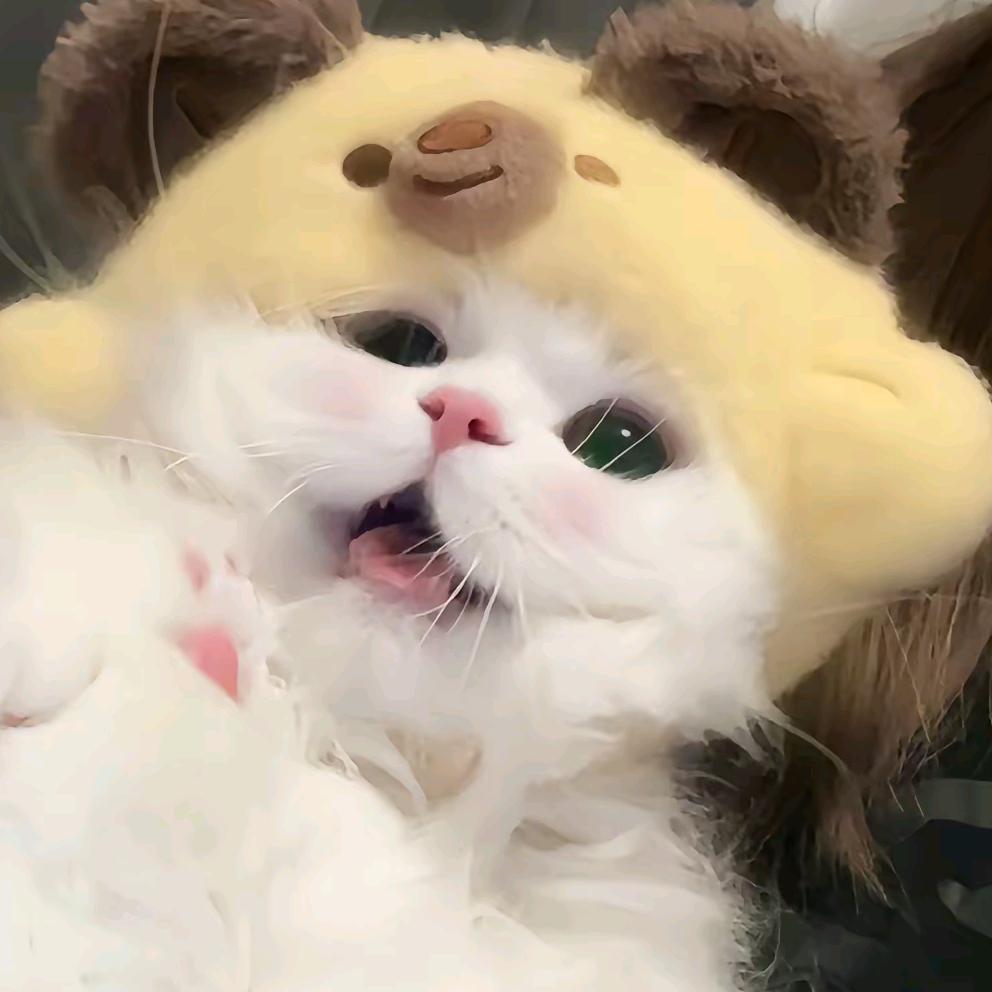 花果山在逃母猴﹒