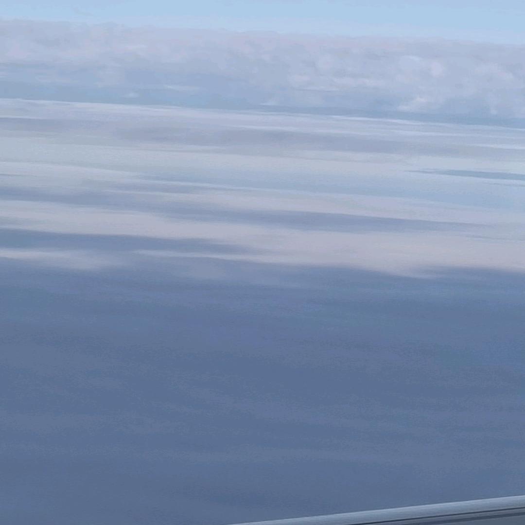 一天成名