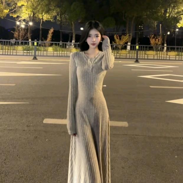 小猫不爱吃鱼