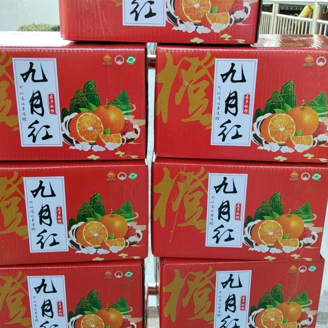 熊作林