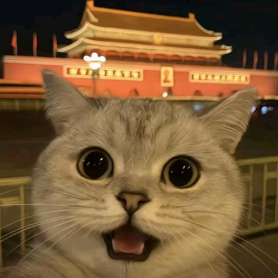 小张/•᷅•᷄\୭