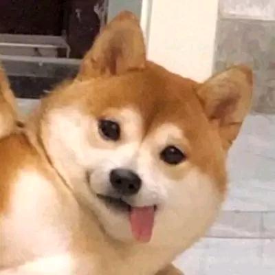 哒哒水果产地直发