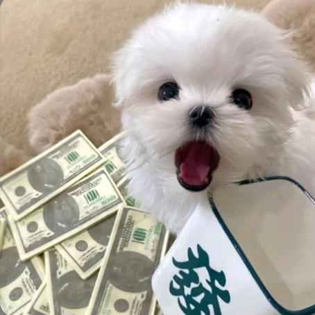 吴语了~
