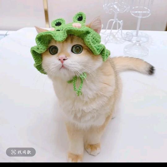 赵豆豆♥