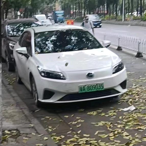 涛少