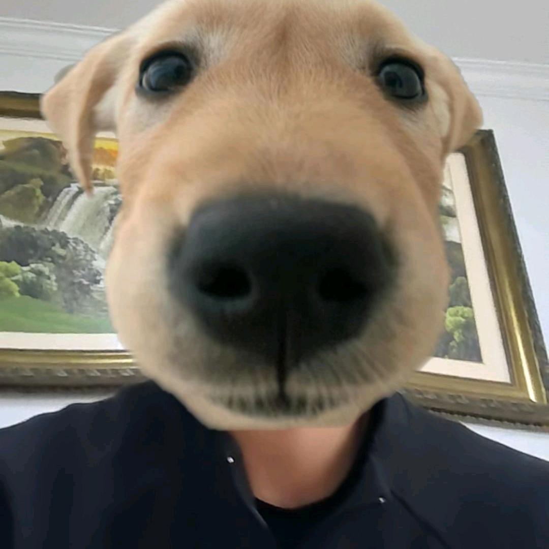 不知名包租亏钱c