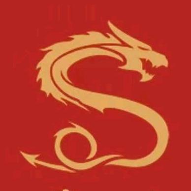 龙承功夫胡教练
