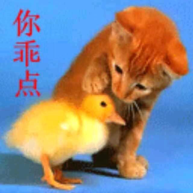 随缘 👫🇨🇳