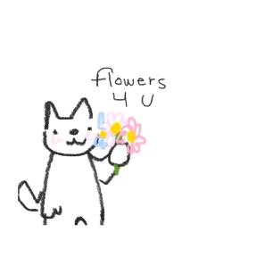 ୧随心所欲☀️૭