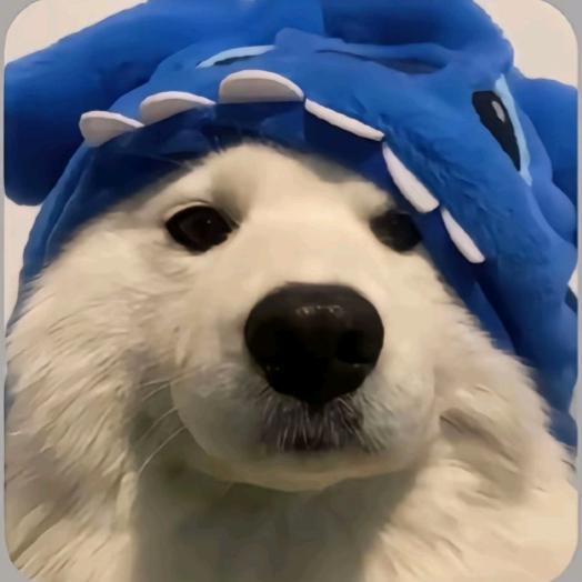 何为逆风