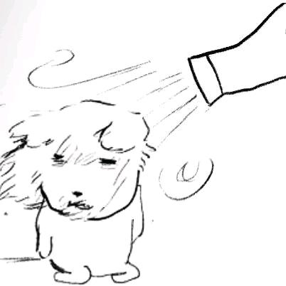 野格.