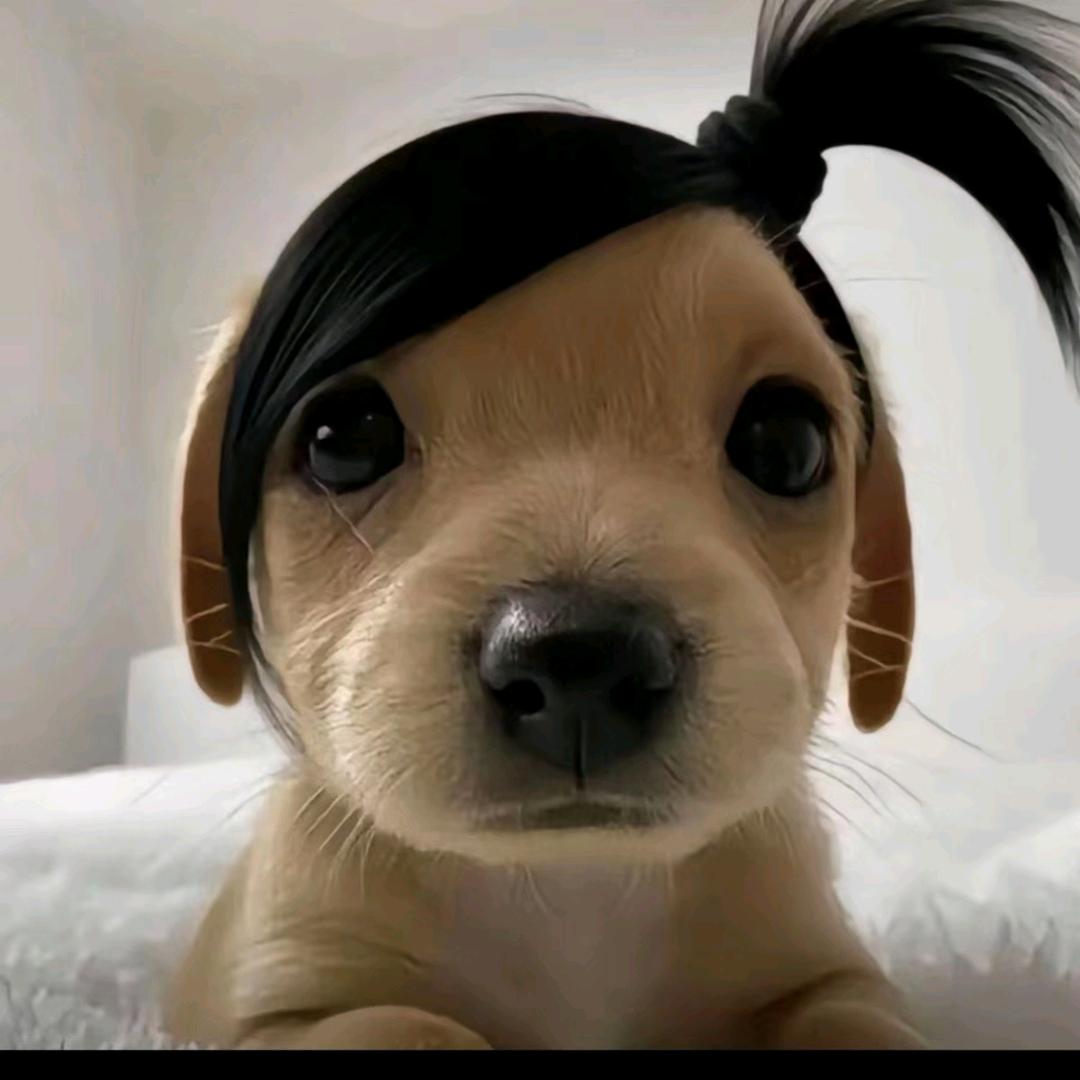 陈憨憨❤️