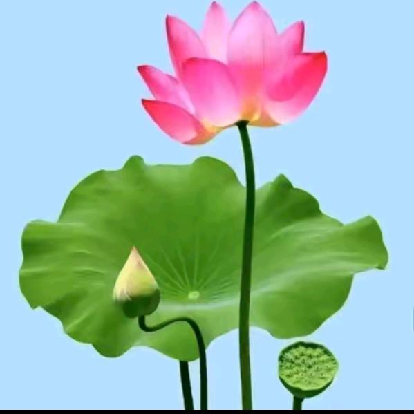 嗣博（恩师高豪）