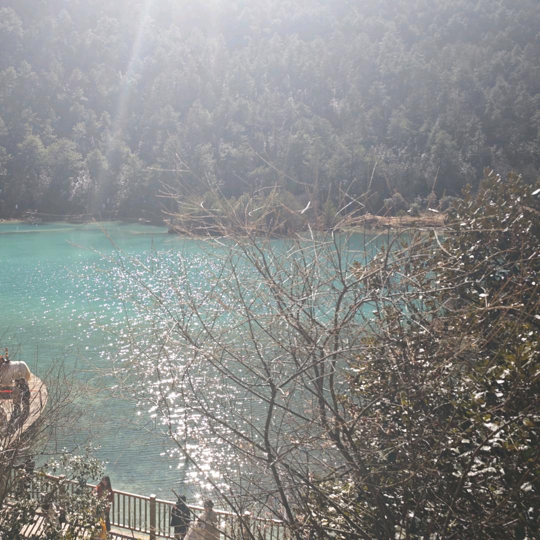 默默的微微