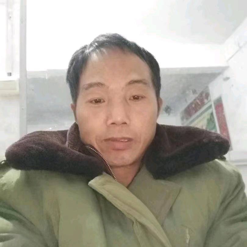 河南大衣哥