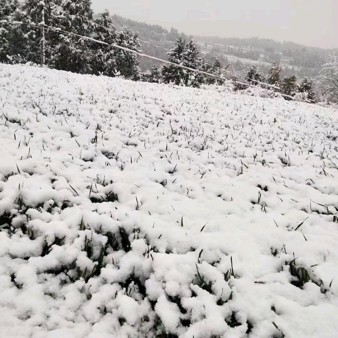 💕 静❦訫⁵²º💞💕