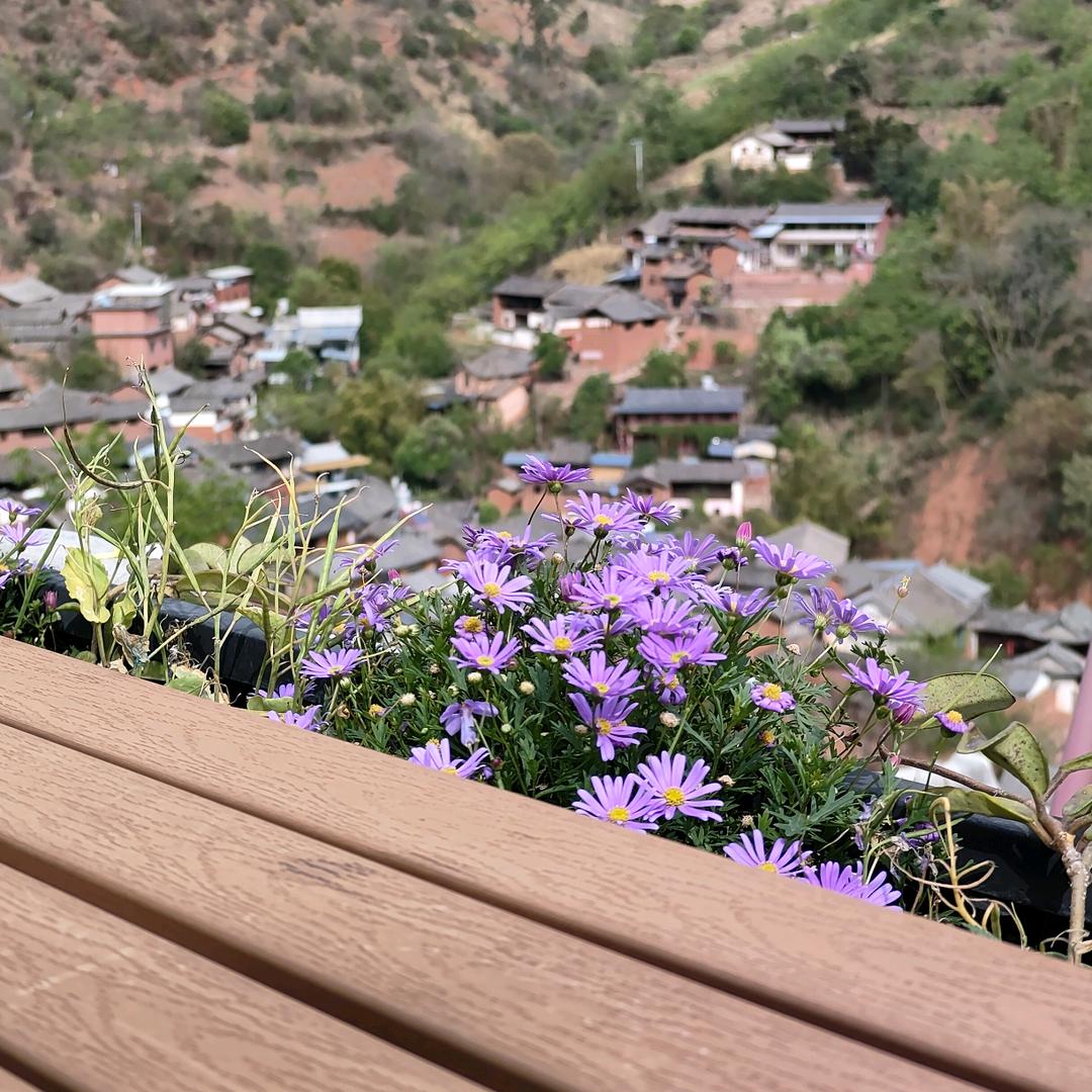 🤙龍🤛🤜 霸😎