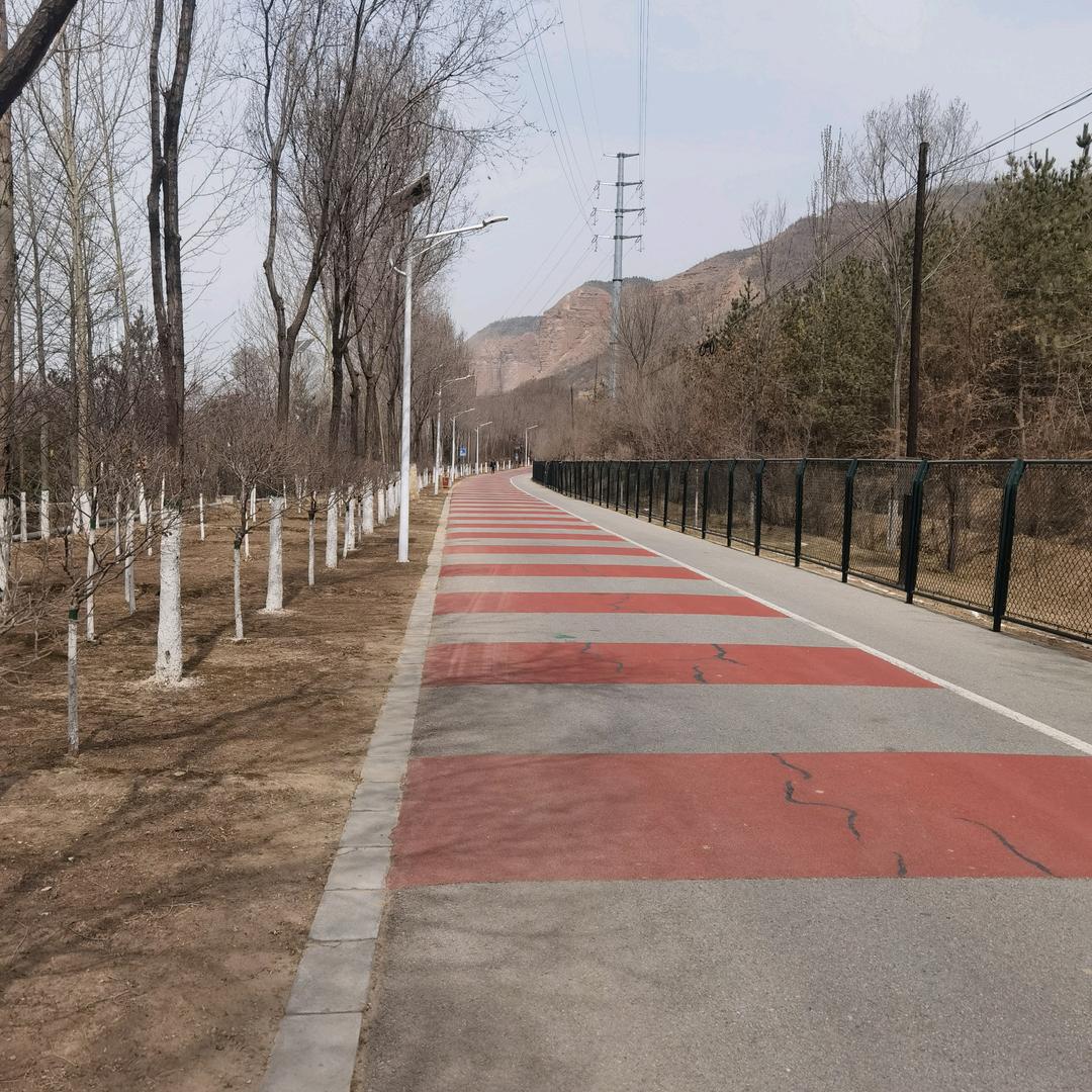 顶带花翎