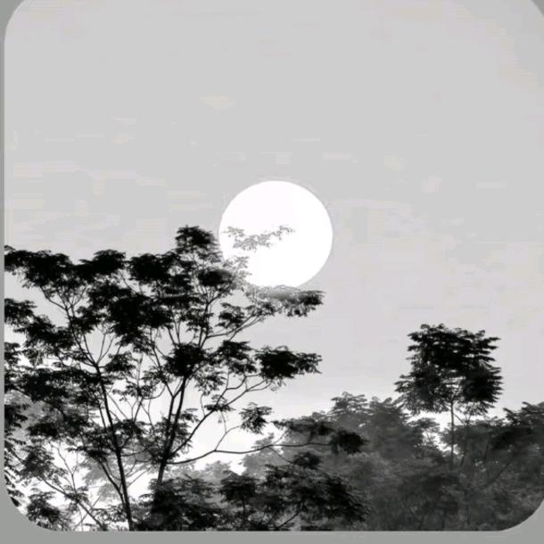 小土豆