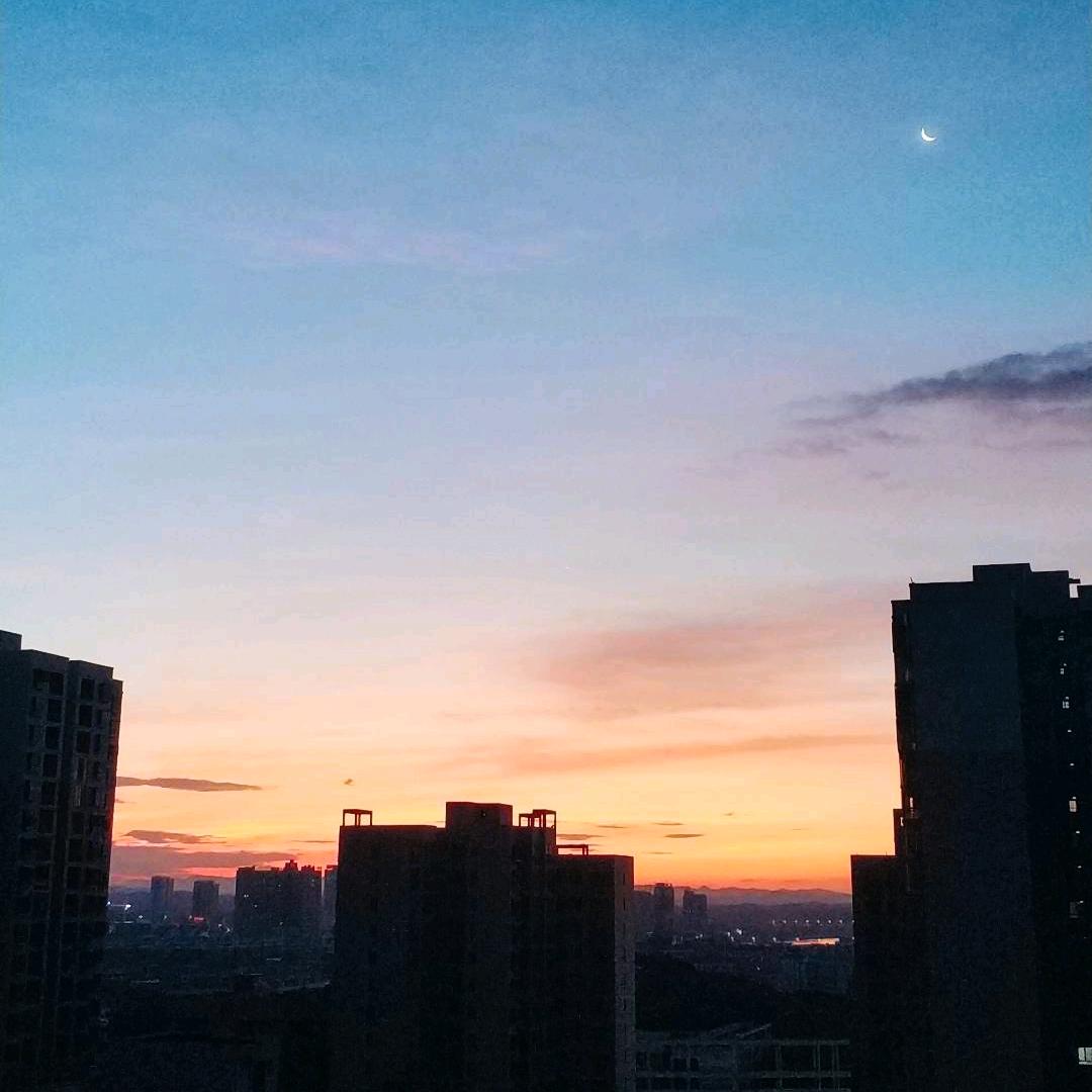 逸龙