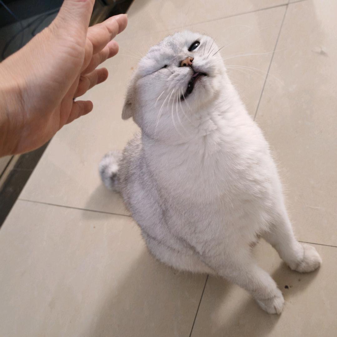 富贵是个大冤种