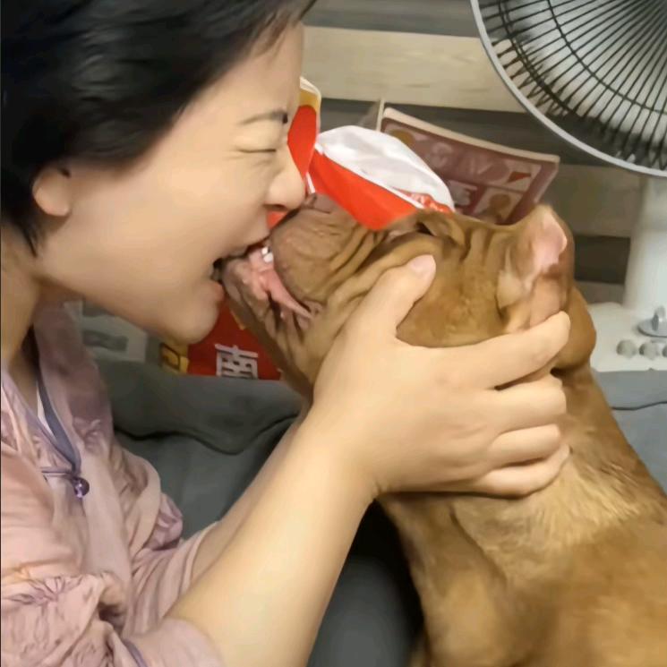 黄海