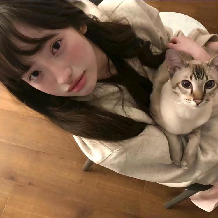 雾.