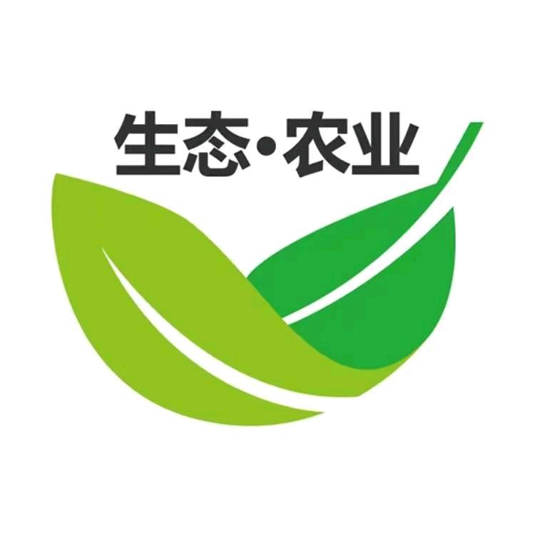 农村小倩