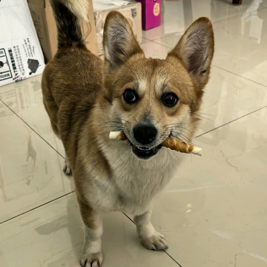 她说.
