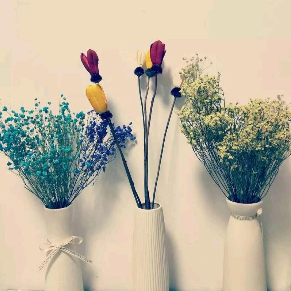蓝花楹