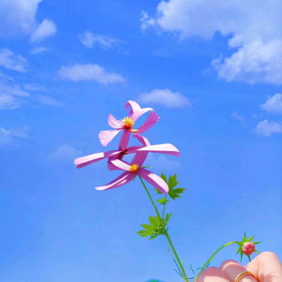 ✨烘-焙✨
