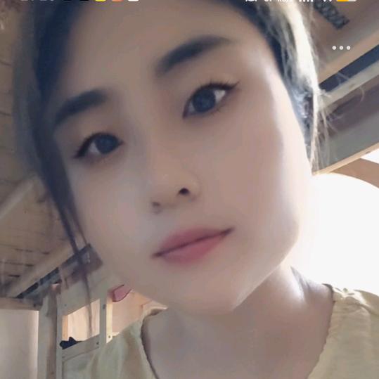 Dan   ~丹
