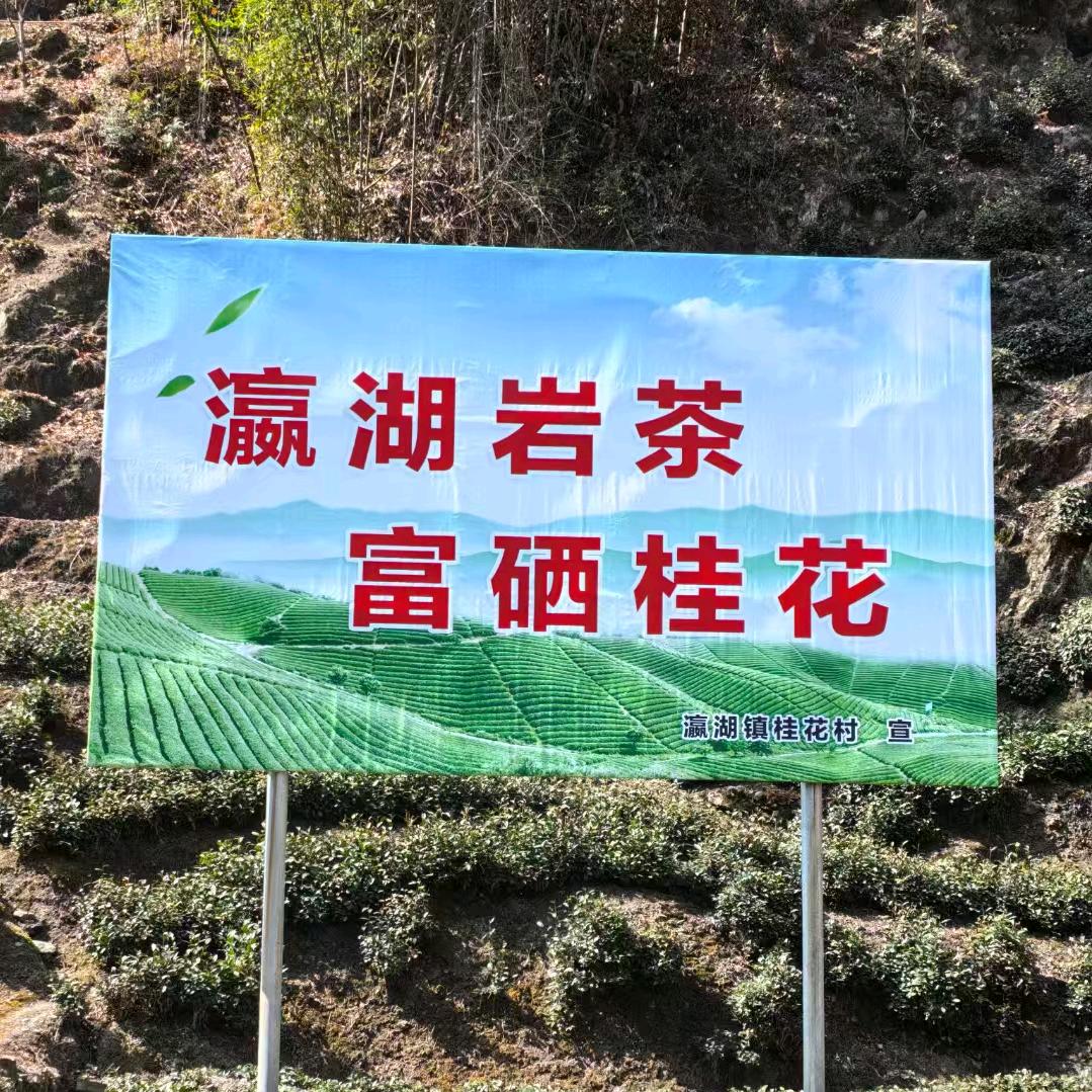 阿龍
