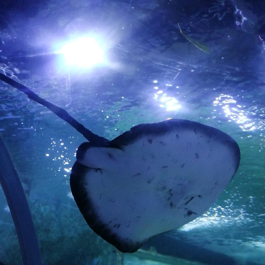 寂寞的单身人生