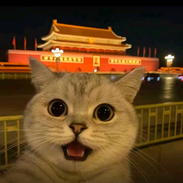 热忱