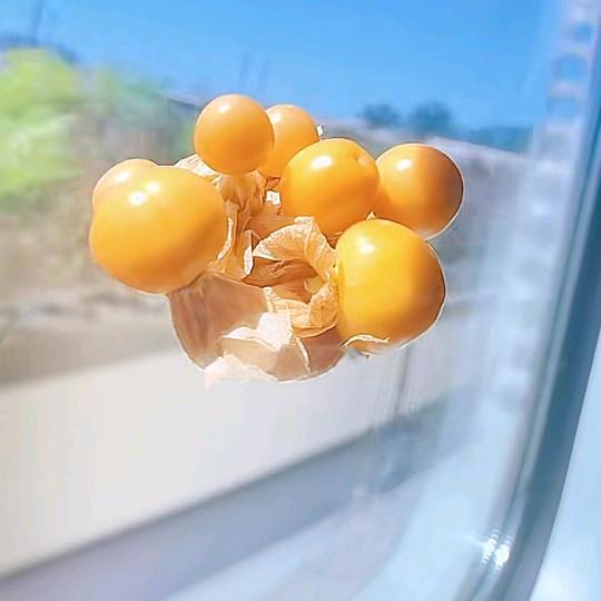 🌈彩虹