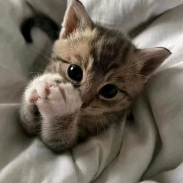 %