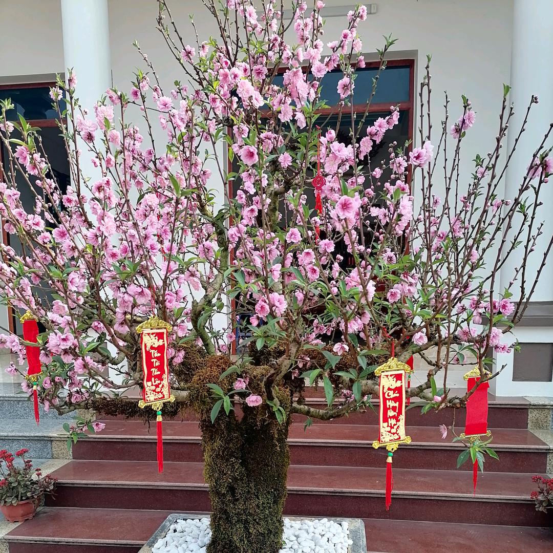 彩虹！