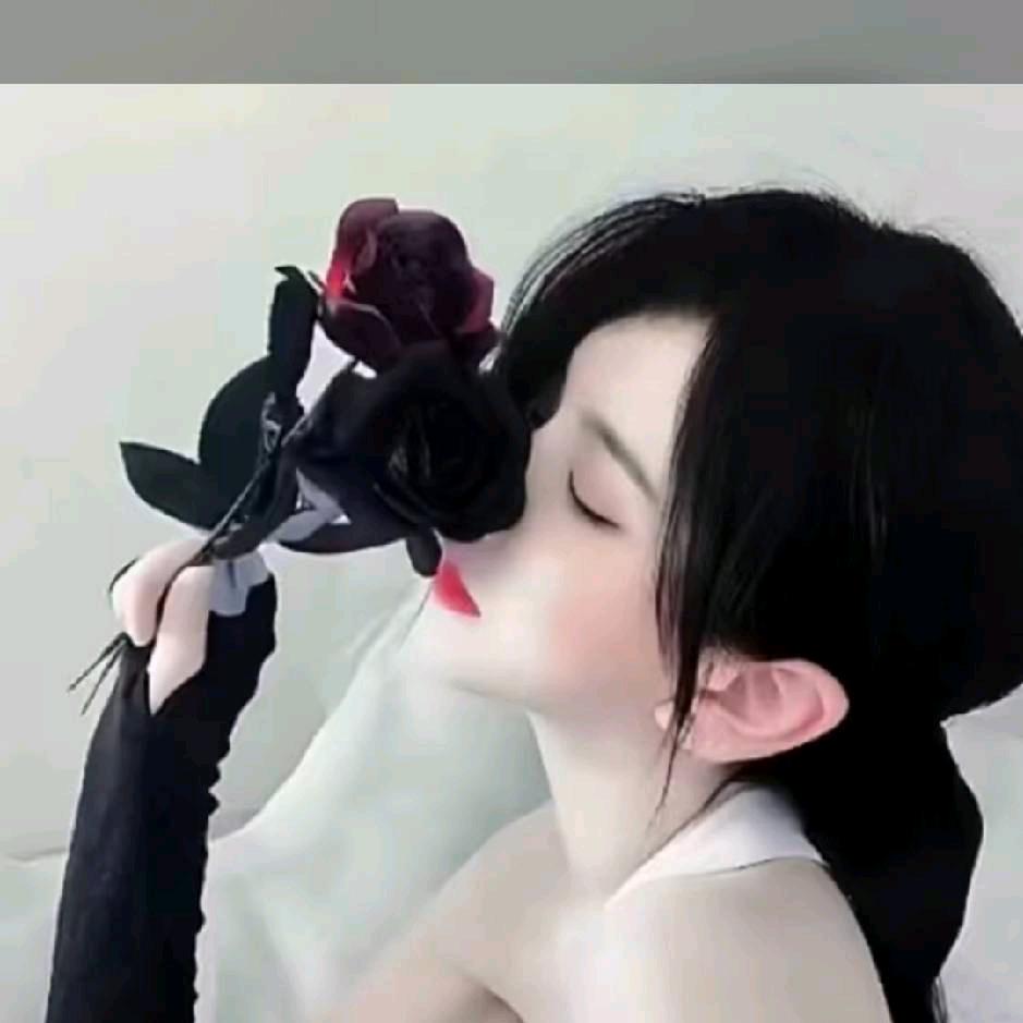 丽丽贝尔🌹