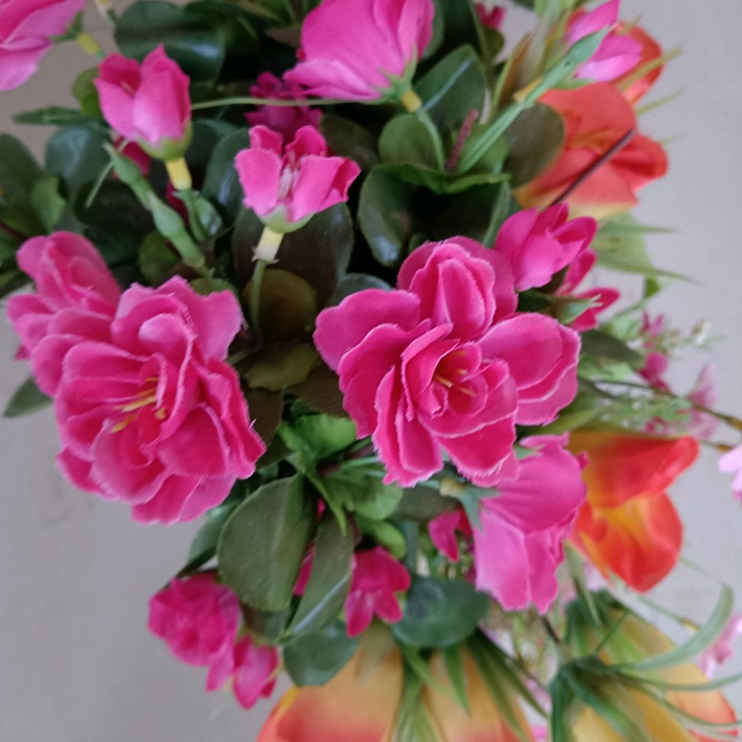 水仙花不定时开播