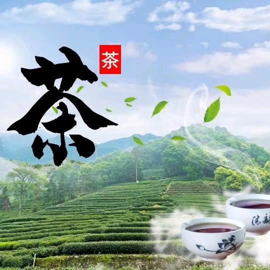 蓝天白云《诚信》🍵