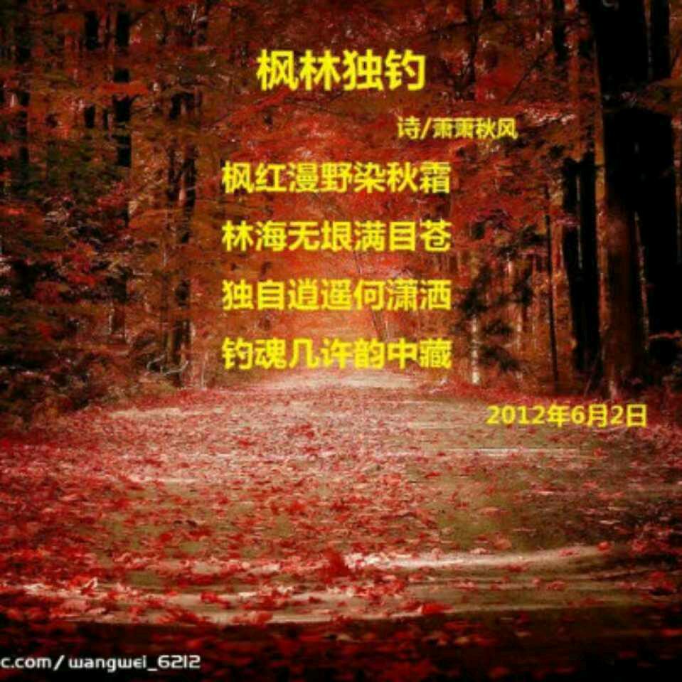 枫林独釣