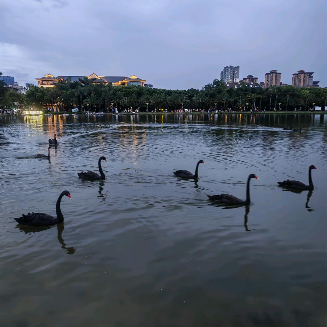 明明雅