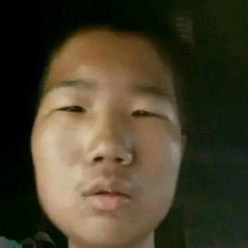 缩头乌龟加狗熊